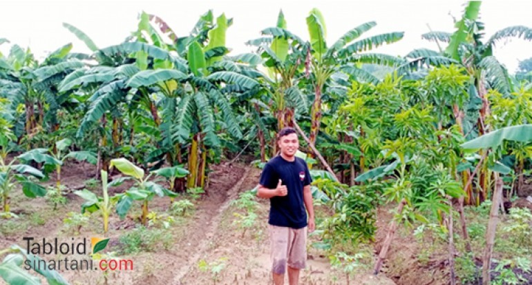 Geliat Komunitas Gubuk Tani Milenial Kembangkan Agribisnis Tanaman Tanpa Pupuk Kimia