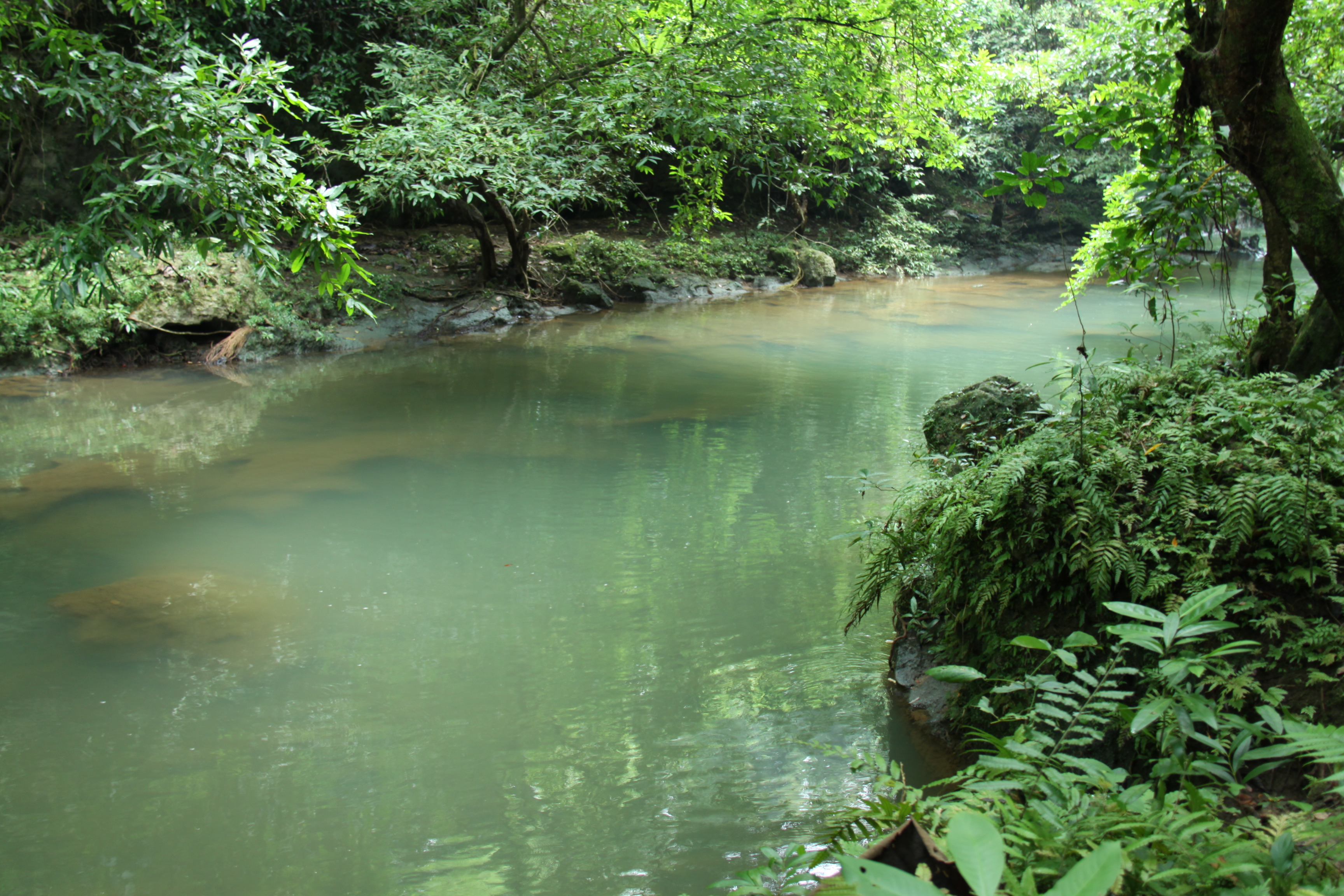 MENDERITANYA SUNGAI DI INDONESIA