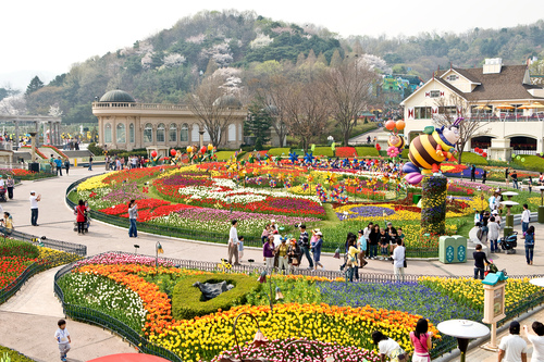 4 Taman Bunga Di Korea yang Wajib Dikunjungi Saat Musim Panas