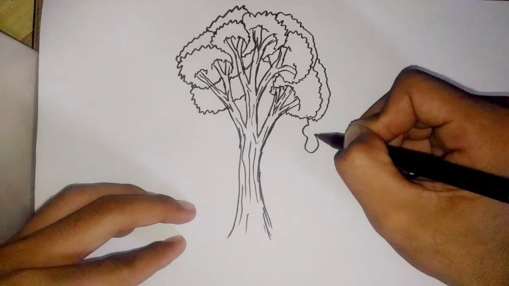 Contoh Dan Cara Mengerjakan Tes Psikotes Gambar Orang Dan Pohon