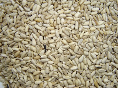 5 Kacang yang Baik Untuk Kesehatan