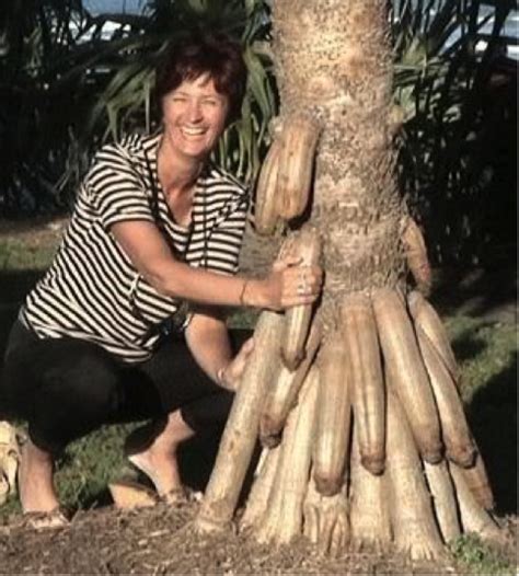 ketika alam bercanda