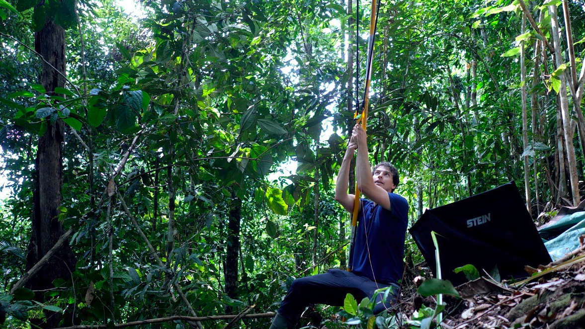 Rainforest Connection Pasang 'The Guardian' di Hutan Sumatera Barat