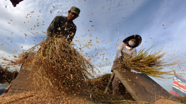 Ganjar Protes Pemerintah Impor Beras Saat Petani Akan Panen