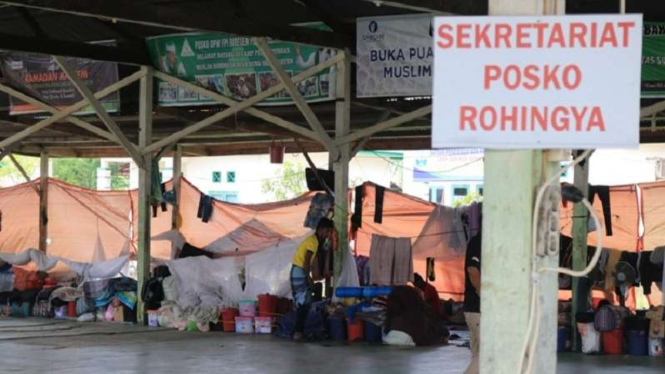 Pemerintah Aceh Mulai Kewalahan Tangani Pengungsi Rohingya