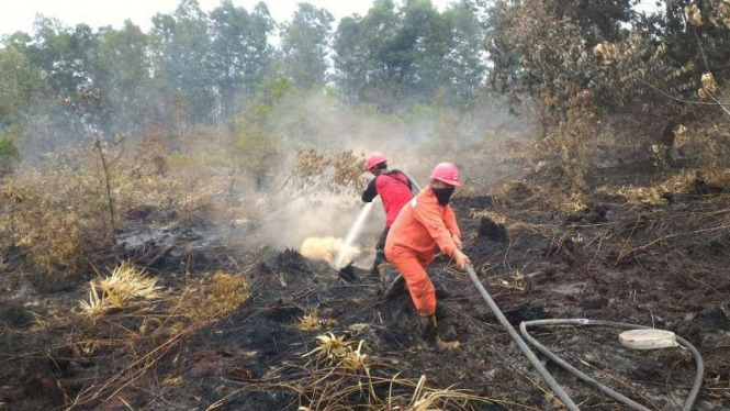 Ada 843 Hektare Lahan Terbakar di Riau Kurang dari Dua Bulan