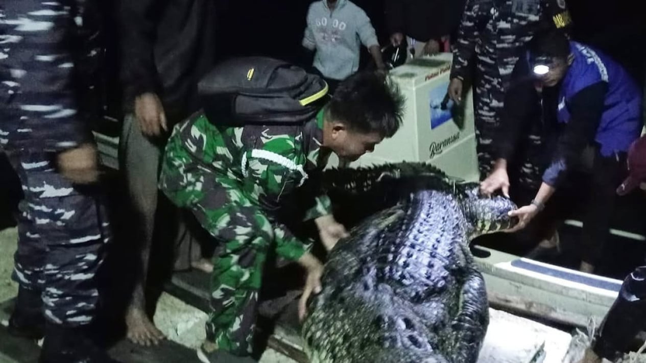 Gemparkan Singapura, Ini Kisah Mengerikan Prajurit TNI dan Makhluk Pemangsa Manusia