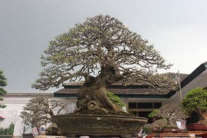 kaskus-image