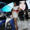 Indonesia International Motor Show - IIMS 2013 Edisi SPG SPG Sexy