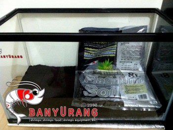 &#91; banyUrang &#93; Journal Setup Shrimp Tank