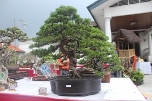 kaskus-image