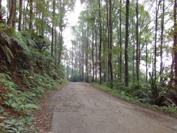 Balita Fun Camp Curug Cihurang Gn Bunder 05-06 Sept 2015 (Warning BWK)