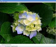 post-image