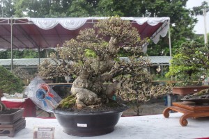 kaskus-image