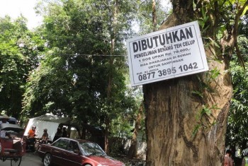 &#91;HIMBAUAN&#93; Hati-hati Brosur Lowongan Kerja Pengeleman Teh Celup