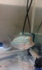 post-image