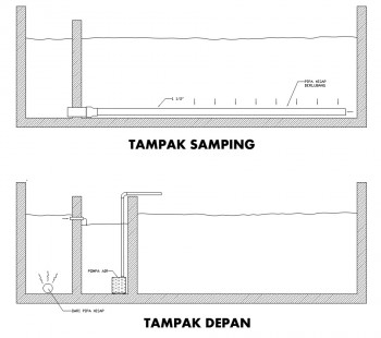 semua-tentang-kolam-ikan