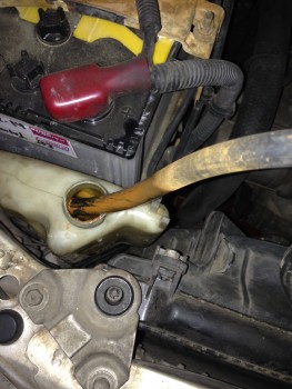 honda-accord-community