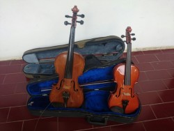 Biola Palatino harga super mencret!