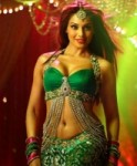 Para Artis Bollywood Cantik dan Seksi