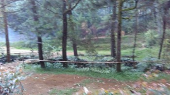 Balita Fun Camp Curug Cihurang Gn Bunder 05-06 Sept 2015 (Warning BWK)