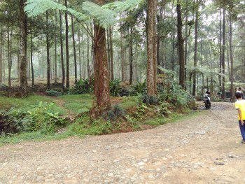 Balita Fun Camp Curug Cihurang Gn Bunder 05-06 Sept 2015 (Warning BWK)