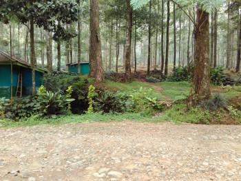 Balita Fun Camp Curug Cihurang Gn Bunder 05-06 Sept 2015 (Warning BWK)
