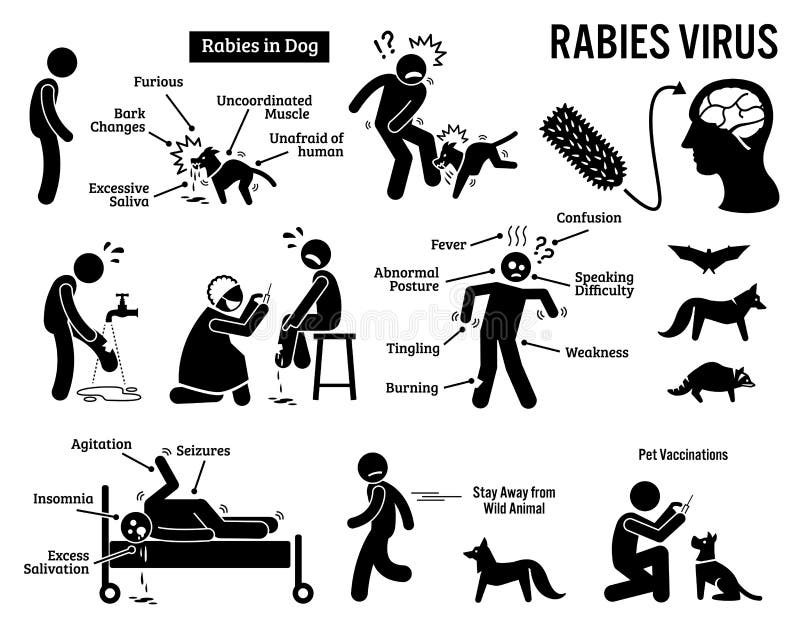 Perkenalkan, namanya Rabies si Virus Jahat