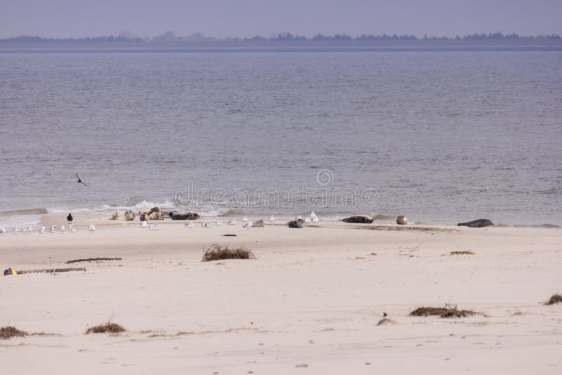 Ini Rekomendasi 5 Pantai Terbaik untuk Dikunjungi Bulan Juli