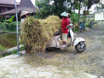 PAHLAWAN SENYAP