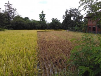 PAHLAWAN SENYAP