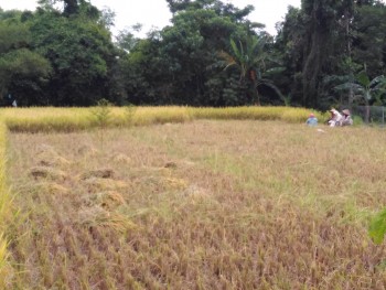 PAHLAWAN SENYAP