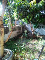 KEBUN PRIBADI
