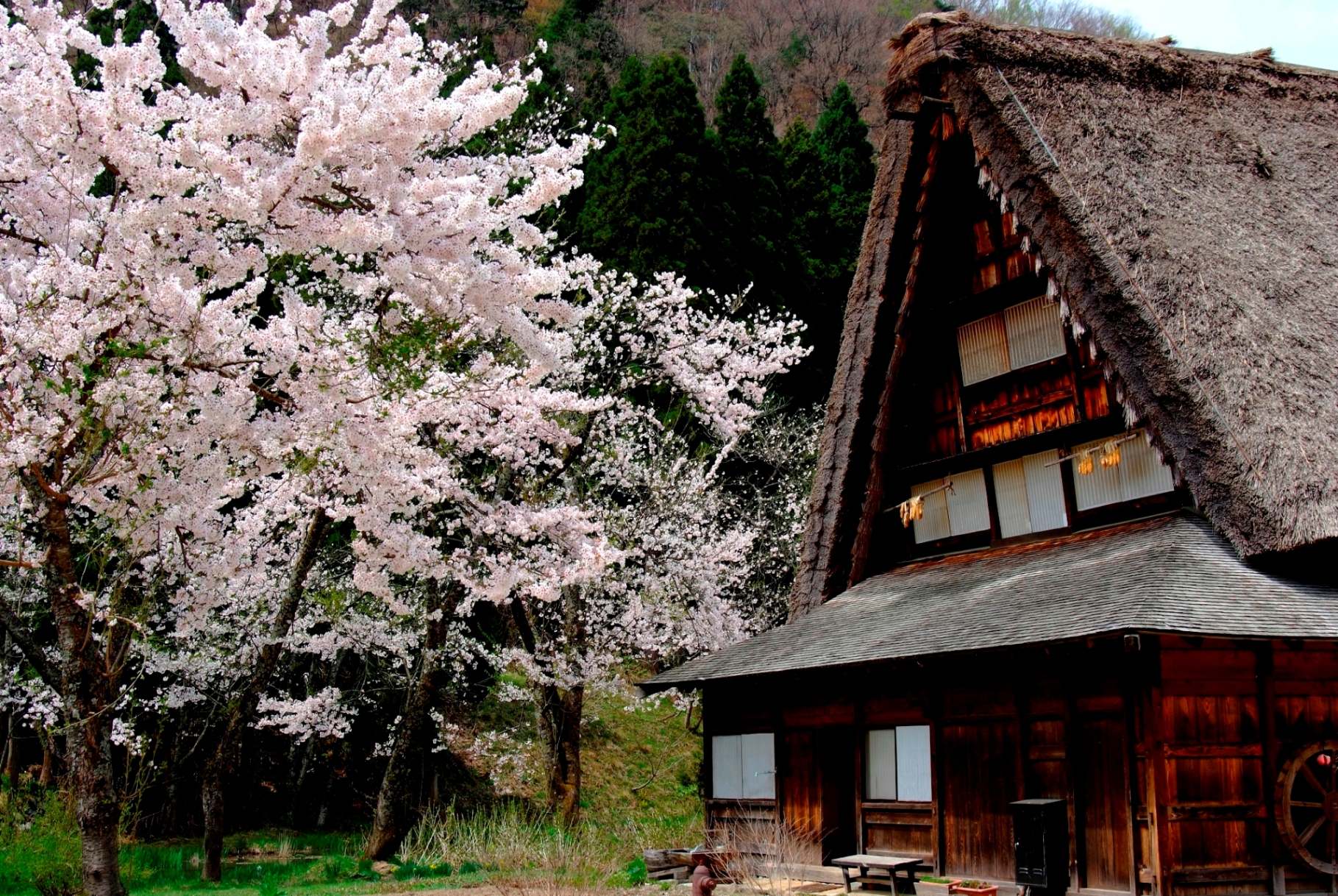 Menelusuri Keindahan Jepang dengan JR Pass dan Hokuriku Arch Pass