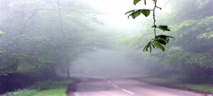 Jalan Paling Horor di Dunia