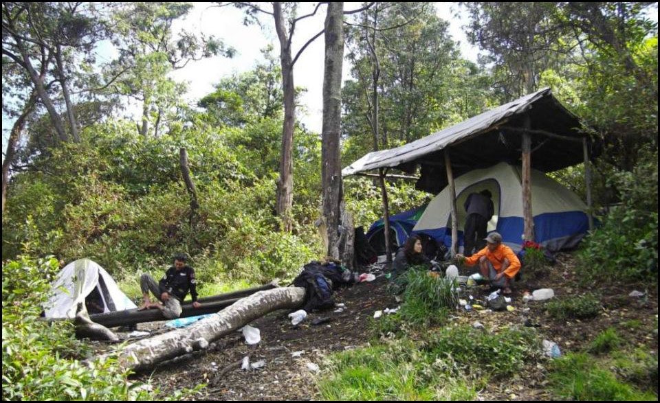 41 Koleksi Hantu Gunung Slamet Gratis