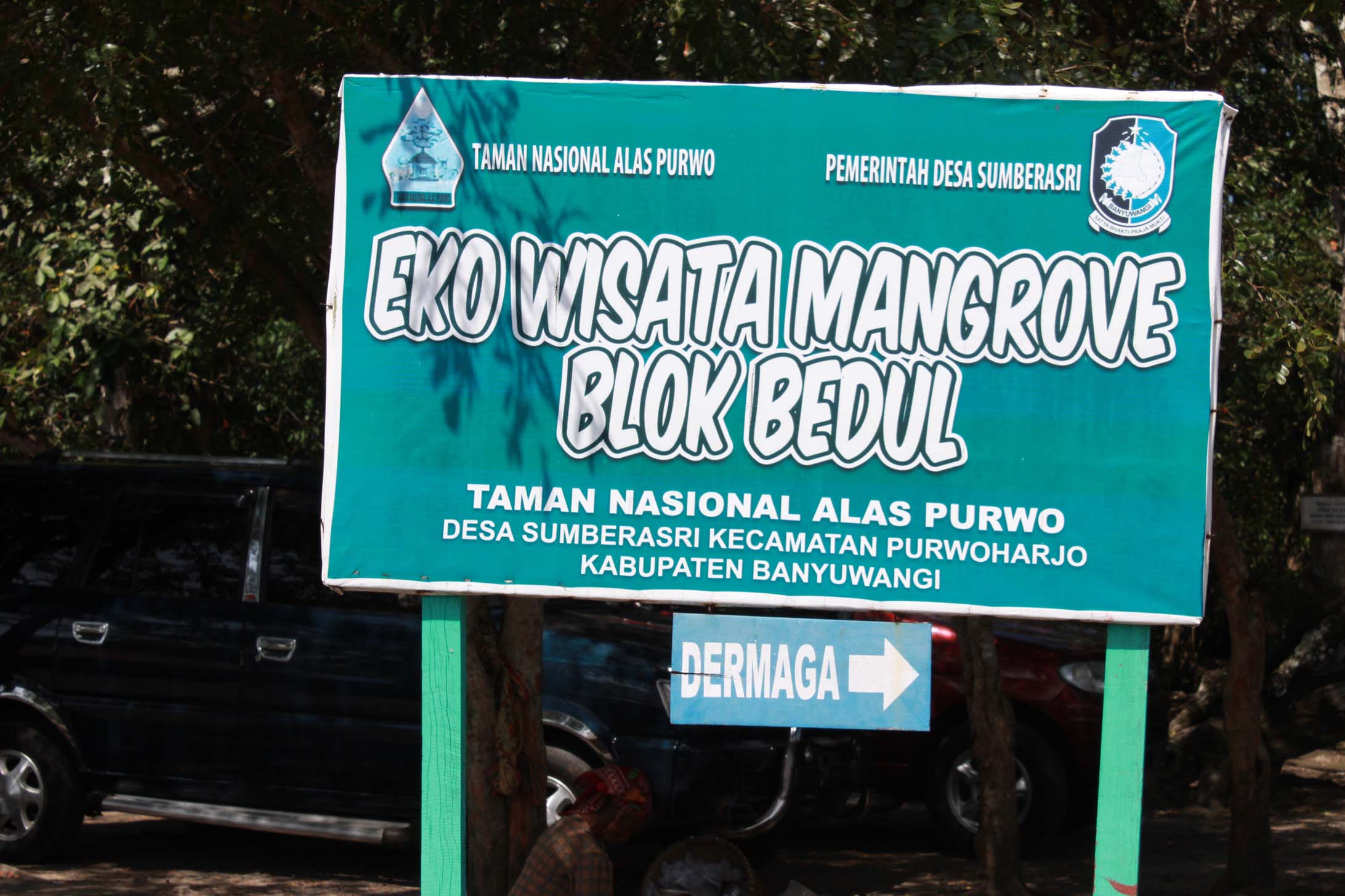 REFRESHING DOLO DIMARI,,