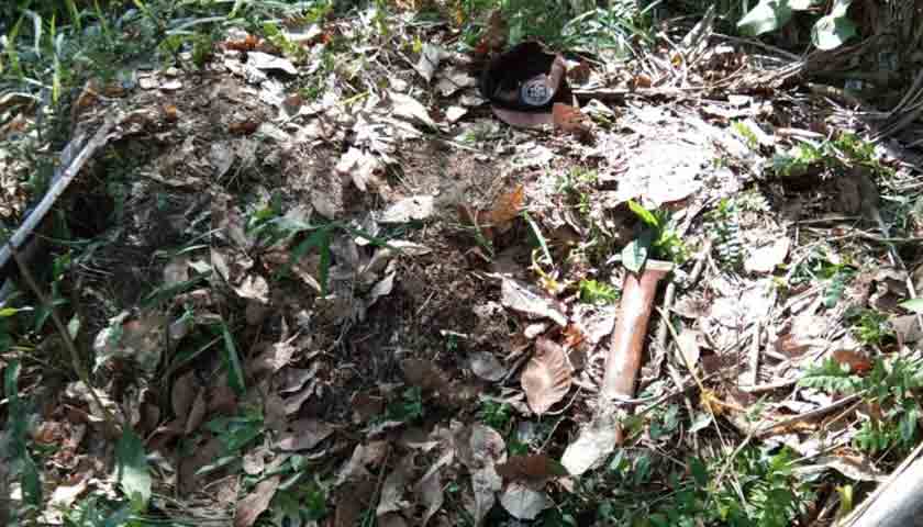 Diserang Kawanan Monyet Liar, Kakek di Langkat Tewas Mengenaskan