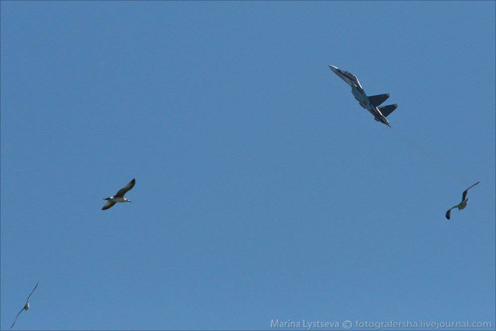 Gidroavaisalon 2014 (Photo)