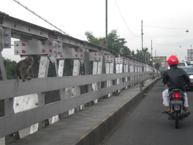Jembatan identik dengan ramai kendaraan bermotor? Kata siapa? Masuk gan.