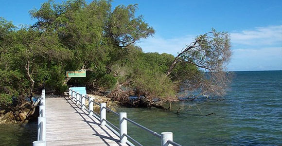 Eksotisme Taman Ujung Kulon