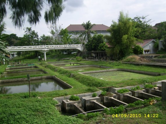 &#91;ANGKER BINGITS&#93; 10 Tempat Berhantu di UGM Yogyakarta