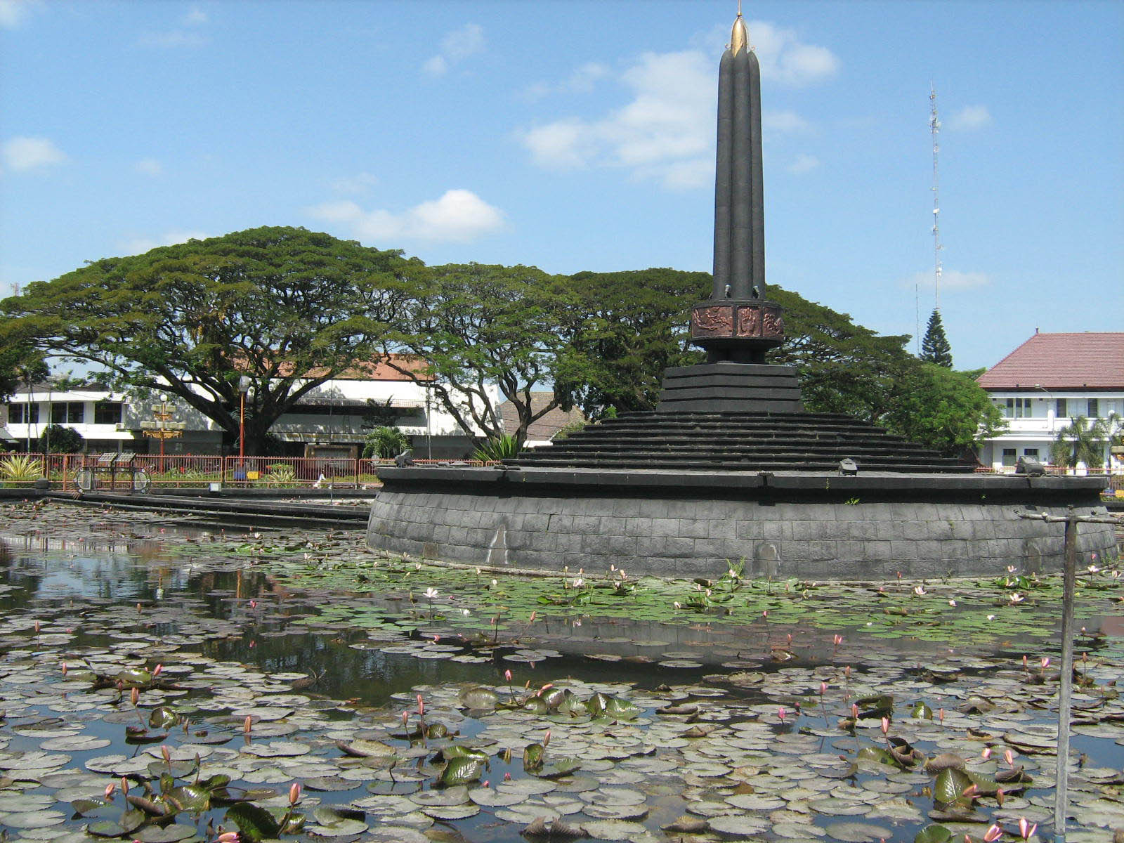 Pohon Trembesi, pohon ajaib penyerap karbon dioksida 28 Ton per tahun!!