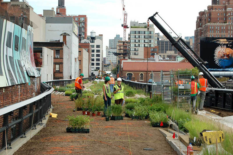 &#91;AMAZING&#93; The High Line: Solusi Taman di Tengah Kota
