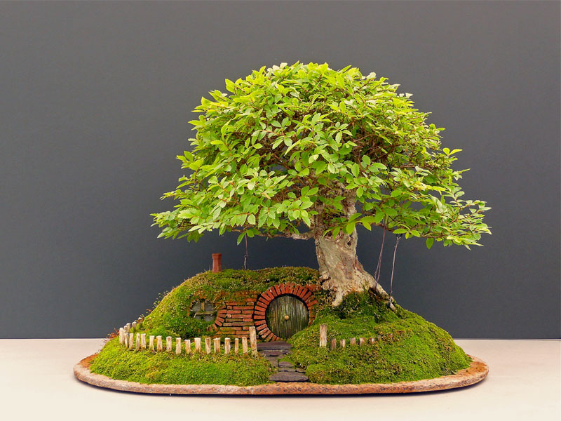 &#91;WOW&#93; Rumah Hobbit dari Bonsai