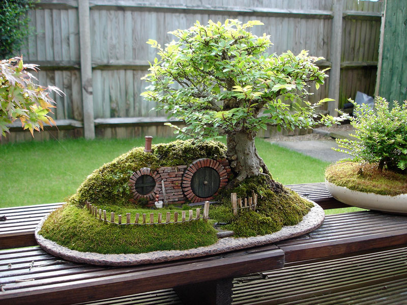 wow-rumah-hobbit-dari-bonsai