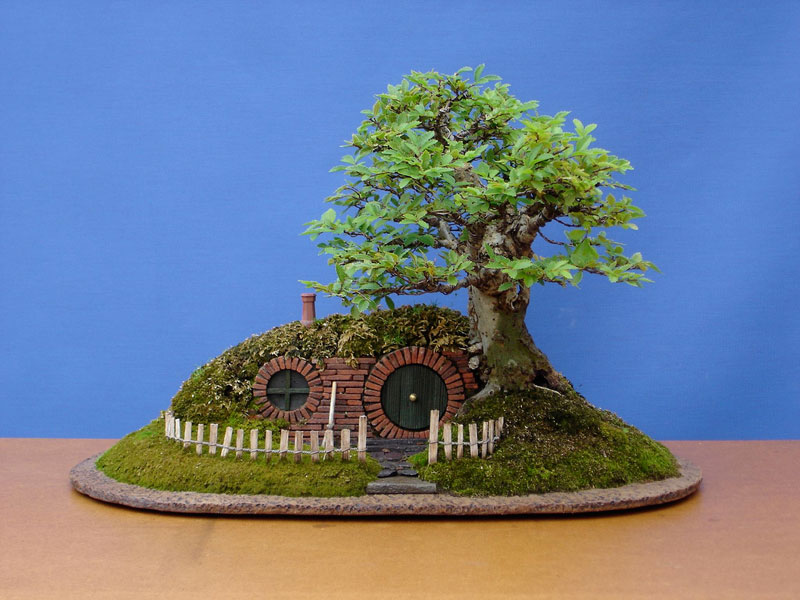 &#91;WOW&#93; Rumah Hobbit dari Bonsai