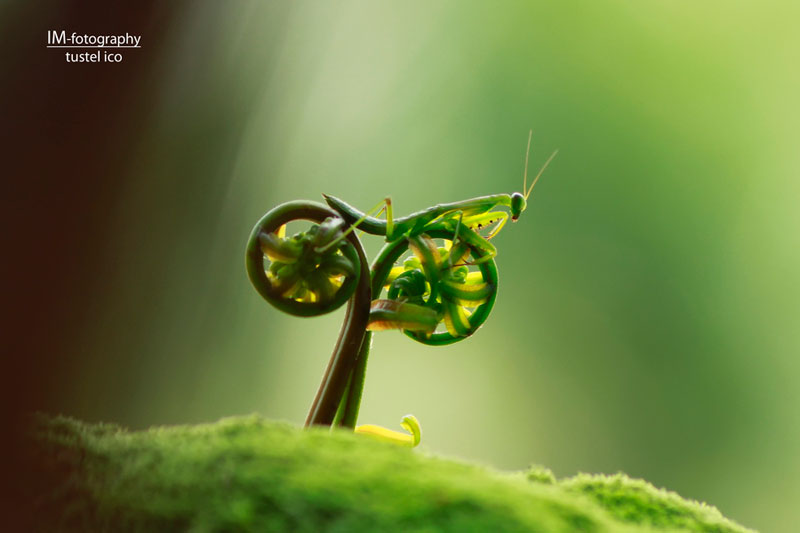 50 Foto Dengan timing Yang tepat