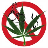 ganja dan bahayanya &#91;share gan&#93;