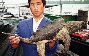 Binatang Aneh (alien) Tertangkap Nelayan China